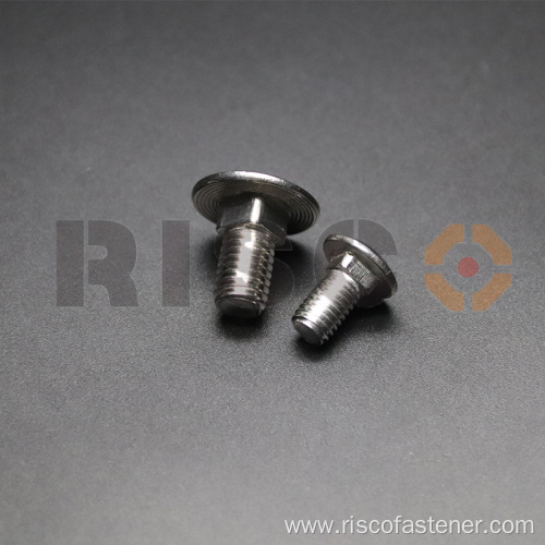 Stainless Steel SS304 SS316 Carriage Bolt